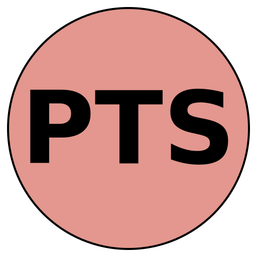 Precise Travel Solutions